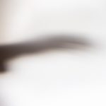 LA MANO_THE HAND